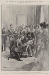 The Accession of the King of Spain, Celebrations at Madrid